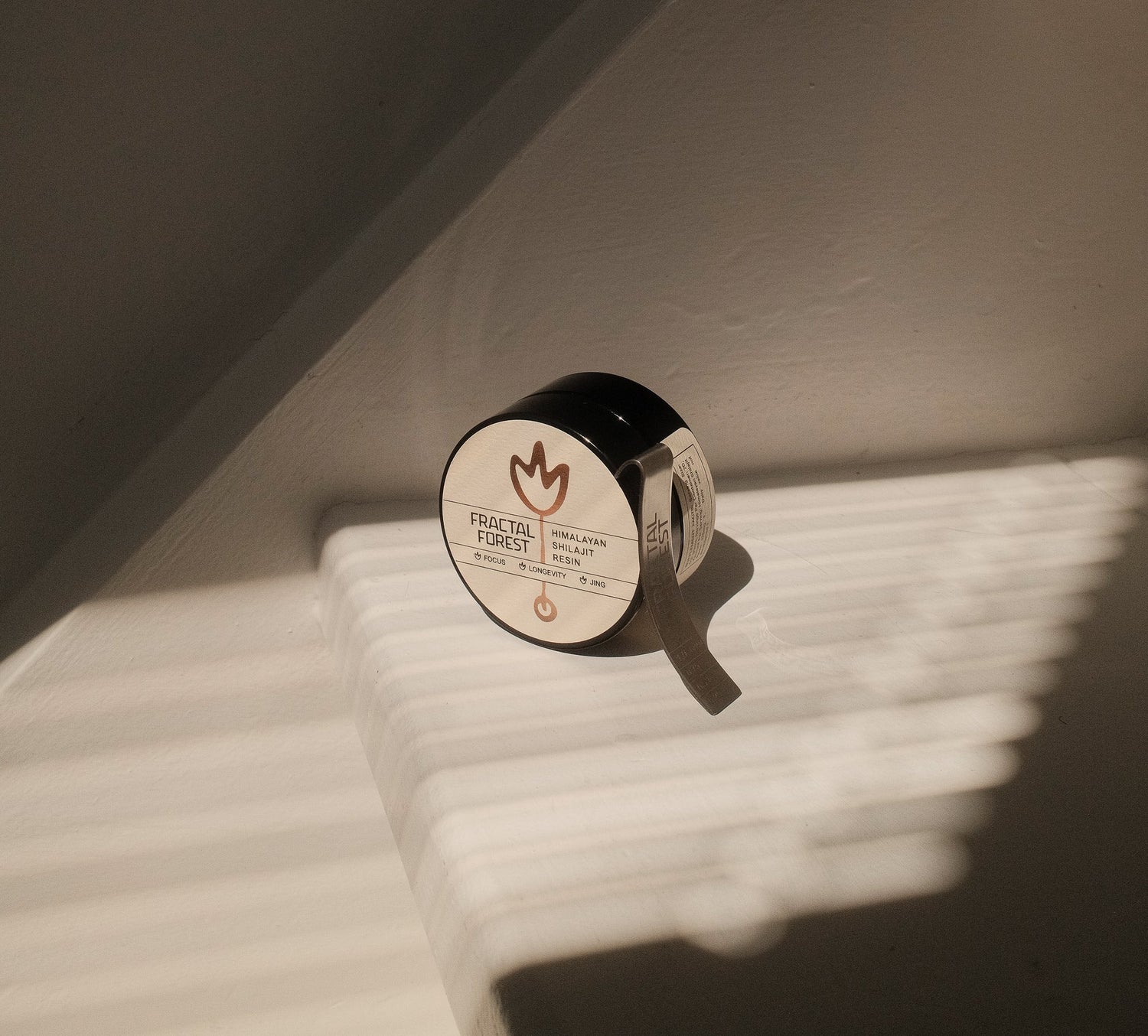 Shilajit: Which One Is Right for You?