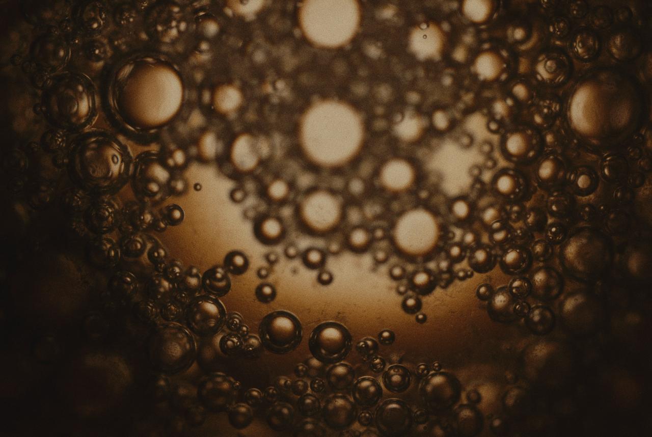 Mineral-Rich and Bioactive: What Makes Our Shilajit Unique