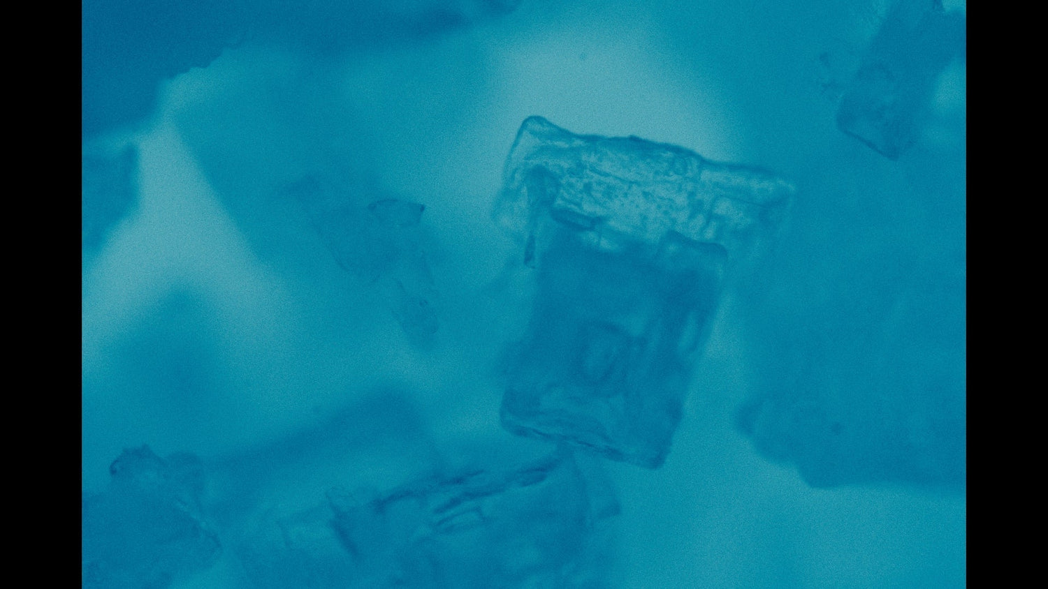 Electrolytes and Hydration: Why Minerals Matter More Than Water Intake